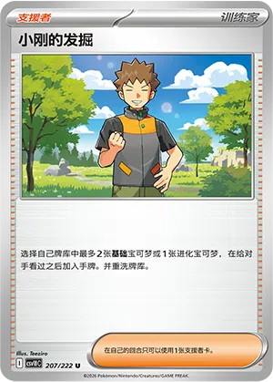 Rockos Erkundung 207/222 Chasing Glory Together Pokémon Karte