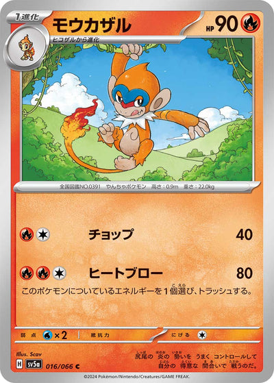Panpyro 016/066 Crimson Haze Pokémon Karte