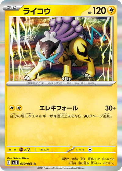 Raikou 030/063 Mega Symphonia Pokémon Karte