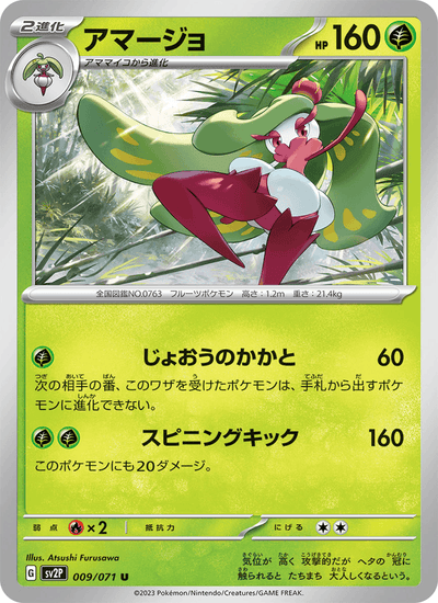 Fruyal 009/071 Snow Hazard Pokémon Karte