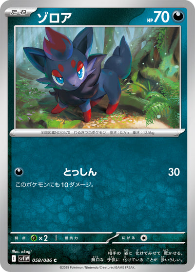 Zorua 058/086 White Flare Pokémon Karte
